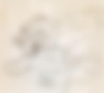 Tigerkopf (preview)