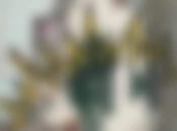 Senza titolo (preview)