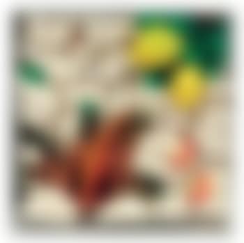 Senza titolo (preview)