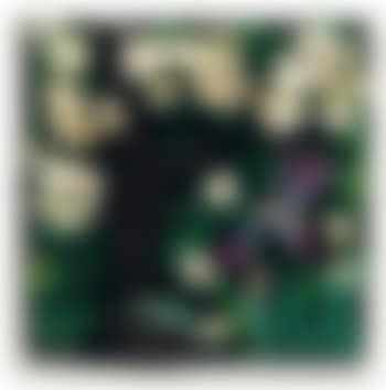 Senza titolo (preview)