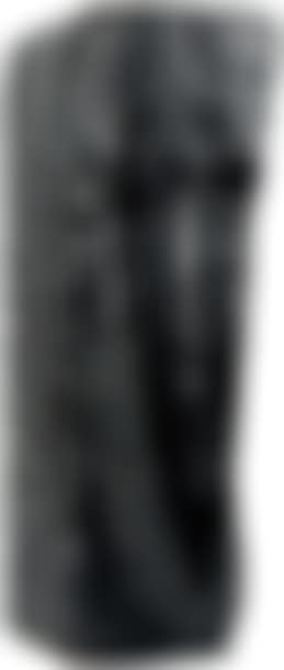 Totem (preview)