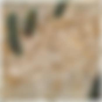 O.T. (preview)