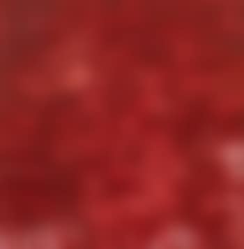 O.T. (Relikte I) (preview)
