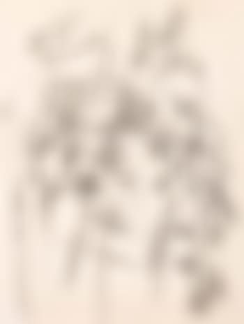 Composition (preview)
