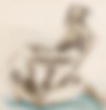 Nus (preview)