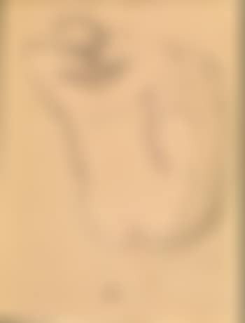 Nudo femminile (preview)