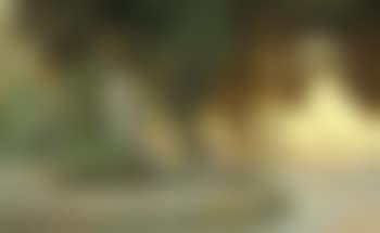 The fountain on Monte Pincio, Rome (preview)