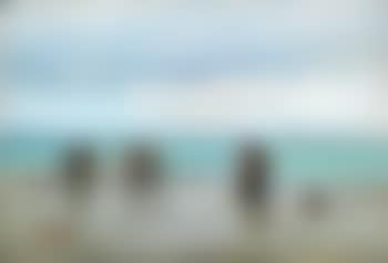 From Hornbæk Beach (preview)