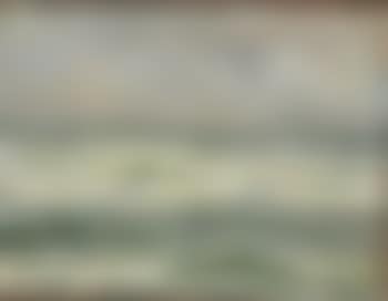 Seascape from Skagen (preview)