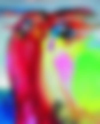 Mouk-râle (preview)