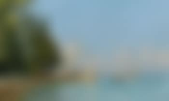 Promenade sur le quai d'Evian (Promenade on the Evian quay) (preview)