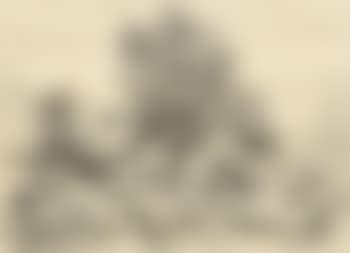 Tree Study (preview)