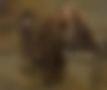 Scène de Tribunal (preview)