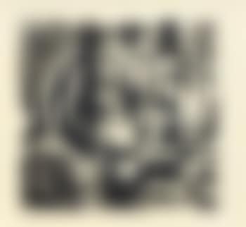 Eidechsen (preview)