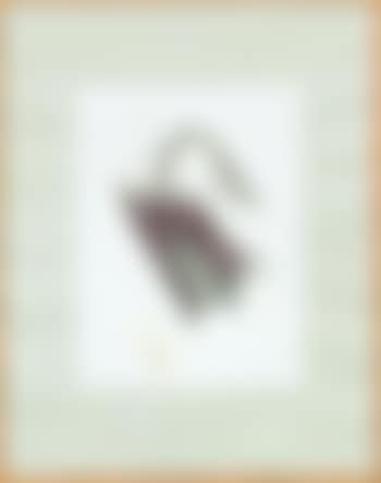 Schwan (preview)