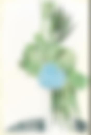 From: Flowers (preview)