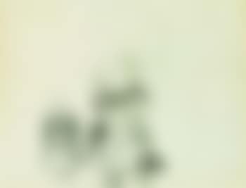 Study for 'To gående kvinder' (Two women walking), Brittany (preview)