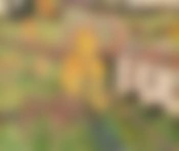Paysage au moulin (preview)