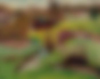 Paysage de campagne (preview)