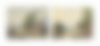 Zwei Wanderer mit Hund; sich ausruhende Wanderer (preview)