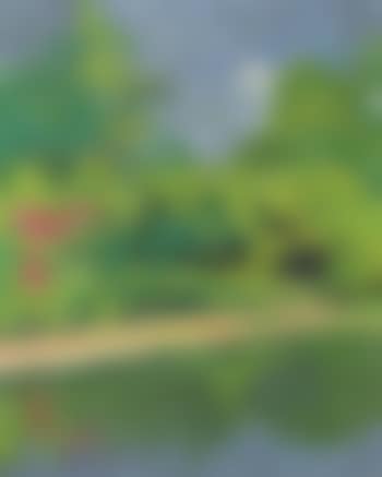 Auf der Oschwand. Der Garten (preview)