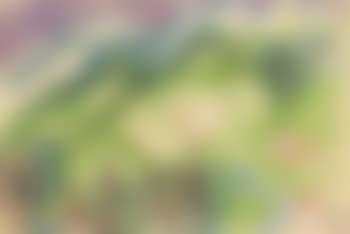 Davoser Landschaft (preview)