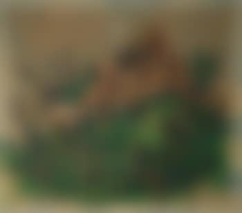 Untitled (preview)