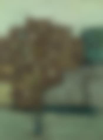 Untitled (Benaras) (preview)