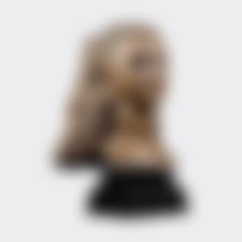 Portrait of the Maharanee of Baroda (preview)