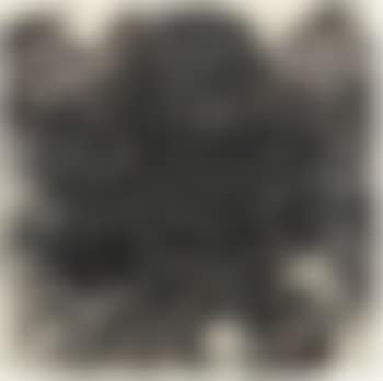 Untitled (Hair) (preview)