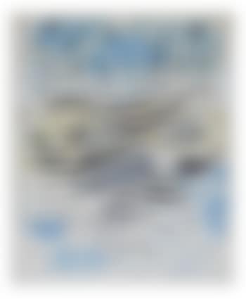 Abstract (preview)