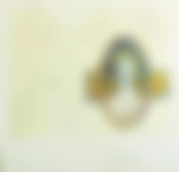 The Cycles of Life, Vigour of Youth, Ones Identity, Reflections (preview)