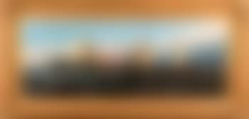 The steamship S.S. Servia (preview)
