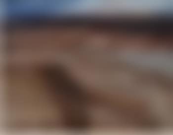 Landscape (preview)