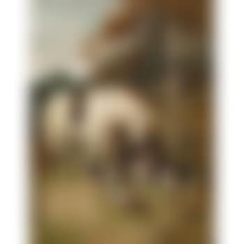 A Boy's Companions (preview)