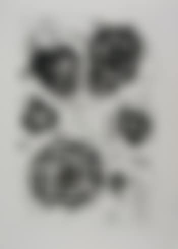 Untitled (SFE.292, 292A) (preview)
