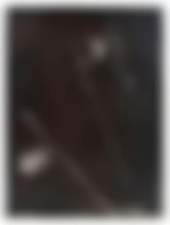 Fotogramm (uitvergroting) (preview)