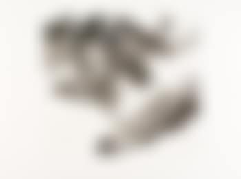 Composition (preview)