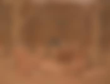 Ohne Titel (preview)