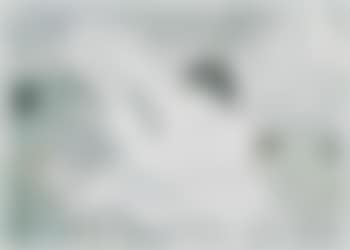 Ohne Titel (preview)
