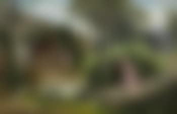 Society in the Park (preview)