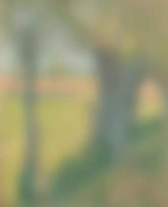 Paysage d'été (preview)