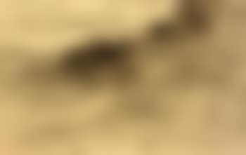 Hilly Landscape (preview)