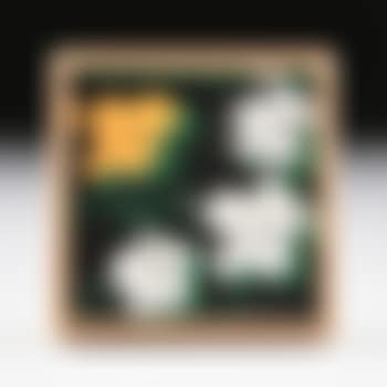 Andy Warhol, Flowers (preview)