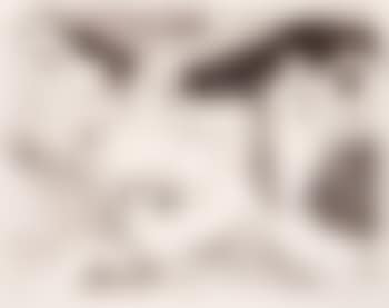Païolive (preview)