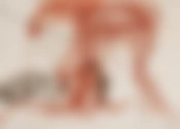 Narices (preview)