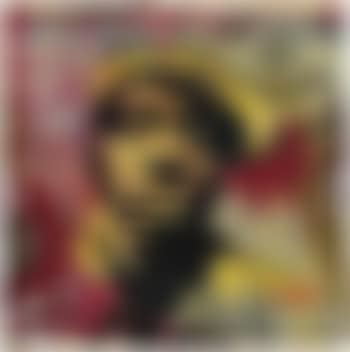 Untitled (preview)