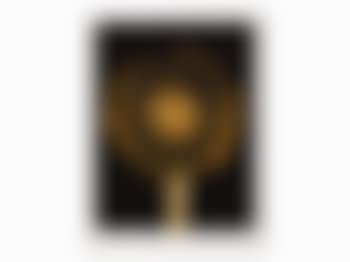 Untitled (Sunflower) (preview)