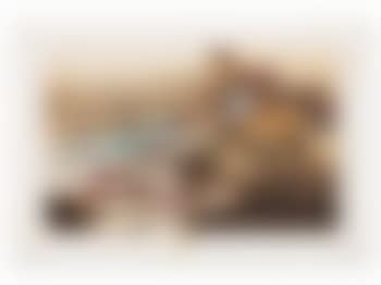 Oh We Suwisch (preview)