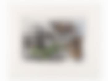 After: Nature Morte, Crane et Oursins (preview)